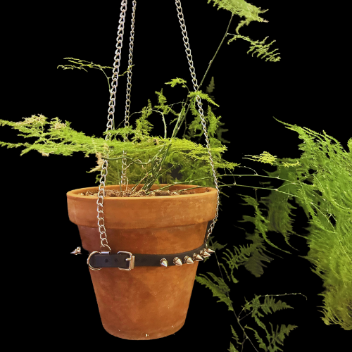 BUCKLE BAND SPIKED PLANT HANGER