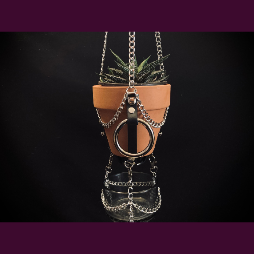 SELF WATERING PLANT HANGER WITH RING